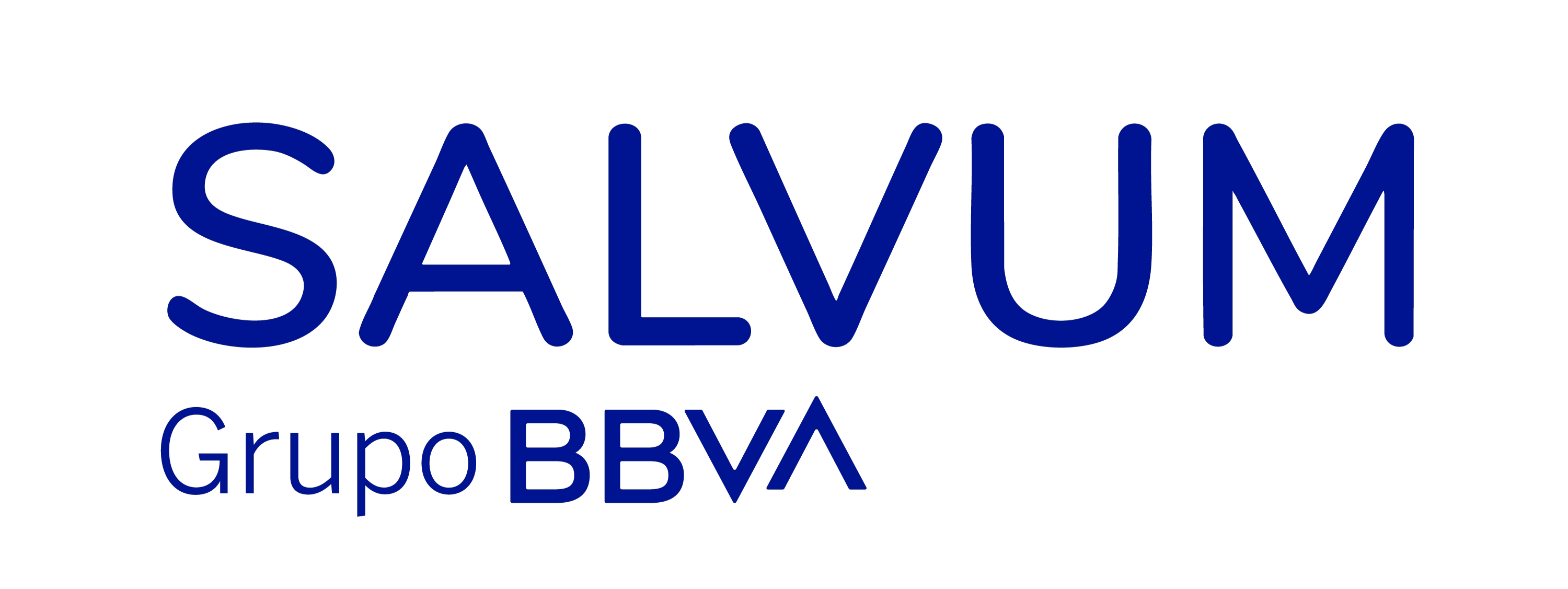 Financiamiento SALVUM